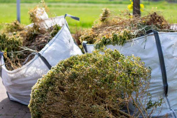 Best Junk Removal Near Me  in Poipu, HI